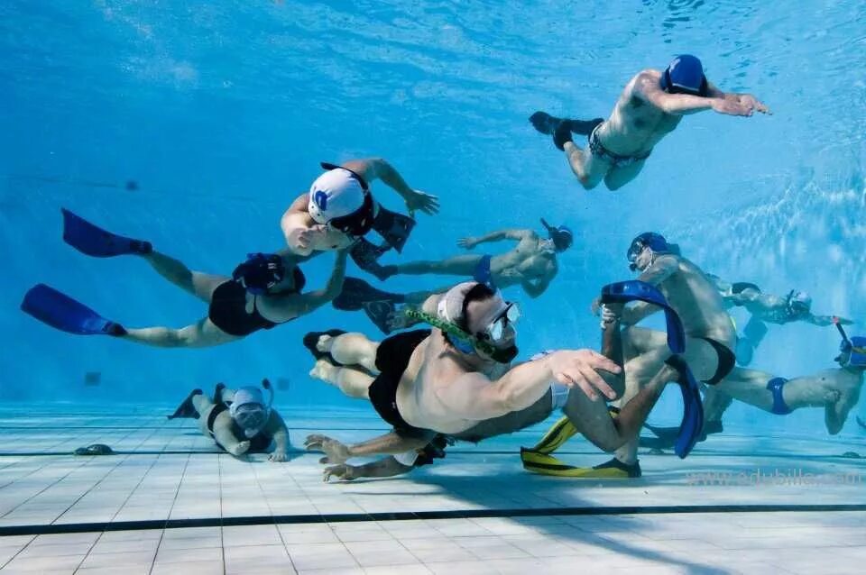 Подводный спорт фото Underwater Rugby games,Underwater Rugby rules,Underwater Rugby awards,Underwater