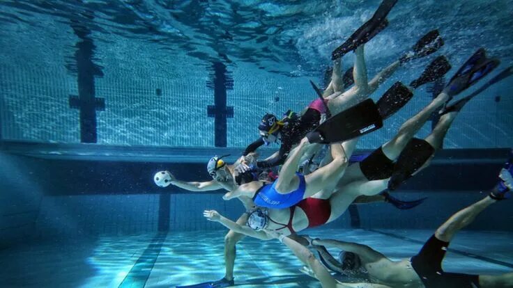 Подводный спорт фото Underwater rugby; Have you ever tried this Underwater rugby, Water sports, Scuba