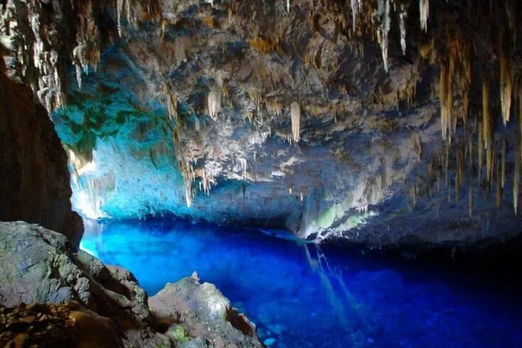 Подземные воды фото Las 10 Mejores Cosas Qué Hacer en Las Grutas de Tolantongo - Tips Para Tu Viaje 