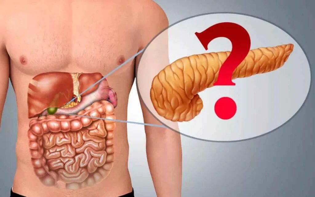 Поджелудочная железа где находится фото симптомы Хронический панкреатит - угроза здоровью