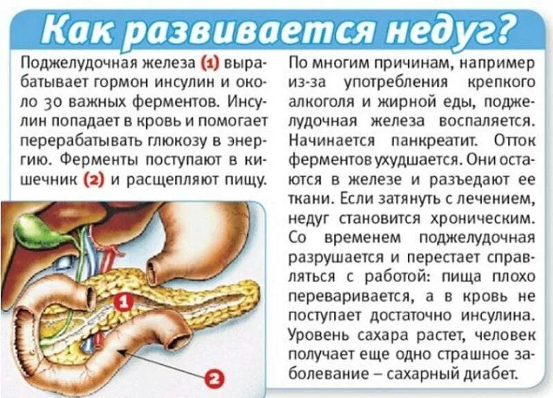 Поджелудочная железа симптомы фото Картинки БОЛИТ ПОДЖЕЛУДОЧНАЯ ЖЕЛЕЗА МОЖНО ЛИ ЕСТЬ