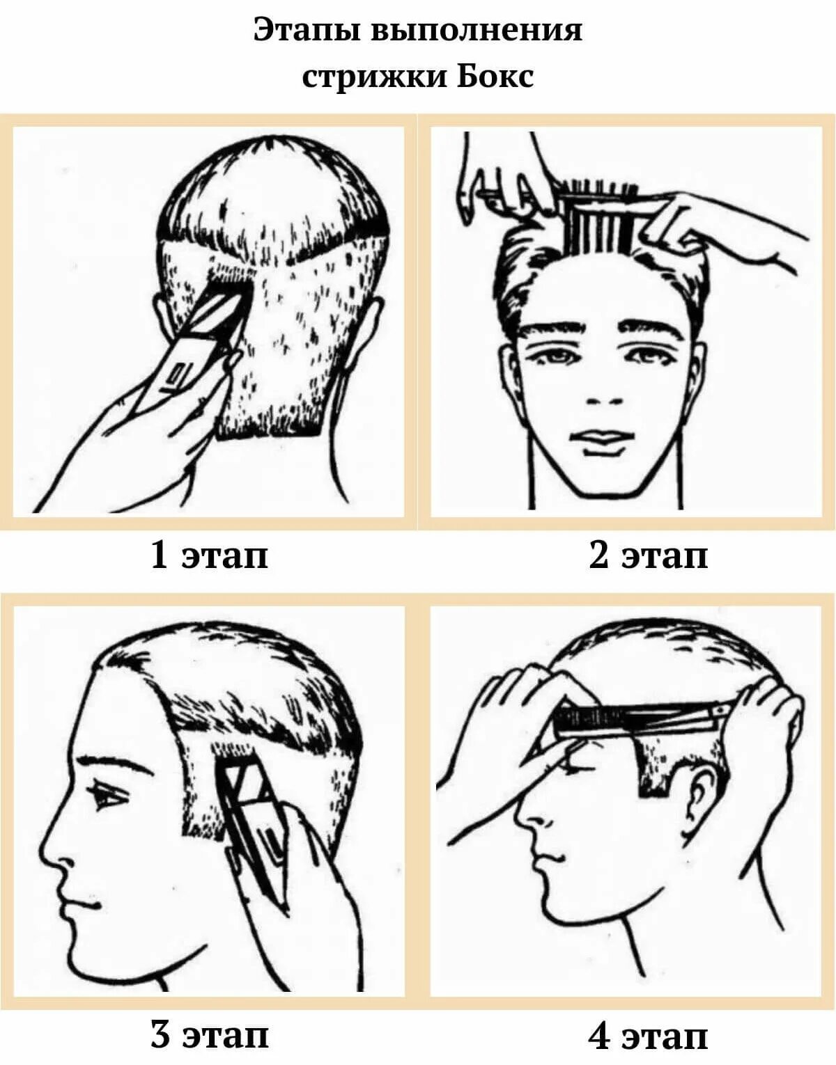 Поэтапная мужская стрижка машинкой Стрижка бокс: варианты, особенности исполнения и укладки