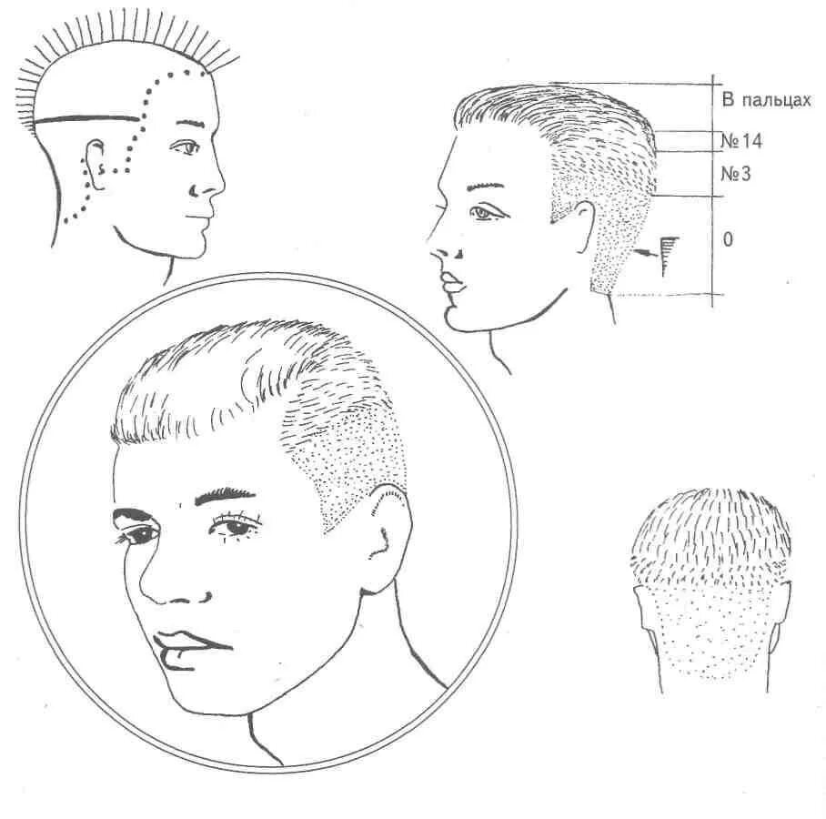 Поэтапная мужская стрижка машинкой Стрижка теннис- техники выполнения, способы укладки