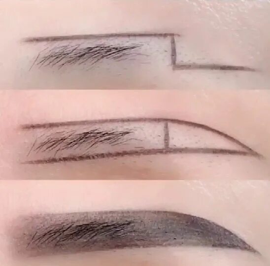 Поэтапно как нарисовать брови фото Eyebrow Makeup Course for Beginners in 2019 Eyebrow makeup, Makeup course, Makeu