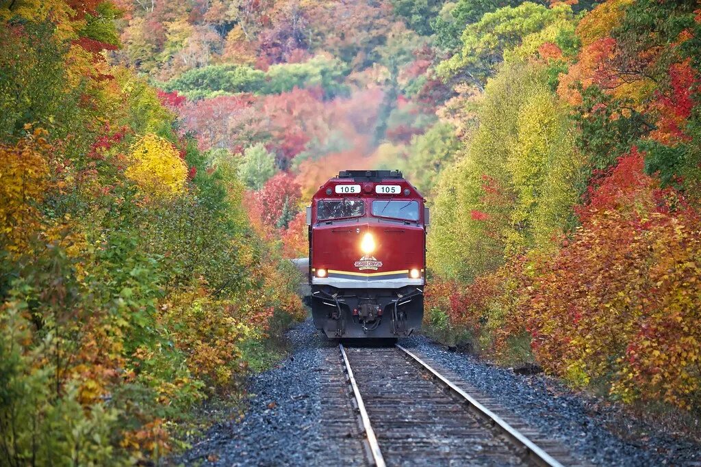 Поезд фото картинки autumn, aweres township, ontario The northbound Agawa Cany. Flickr