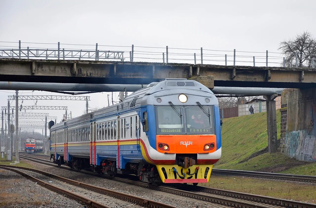 Поезд гомель москва фото ДР1Б-512 - Zdjęcie - RailGallery