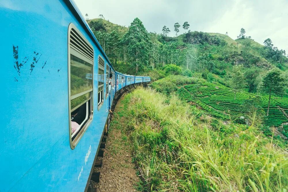 Поезд шри ланка фото KANDY TO ELLA TRAIN: MOST SCENIC TRAIN RIDE IN SRI LANKA Scenic train rides, Tra