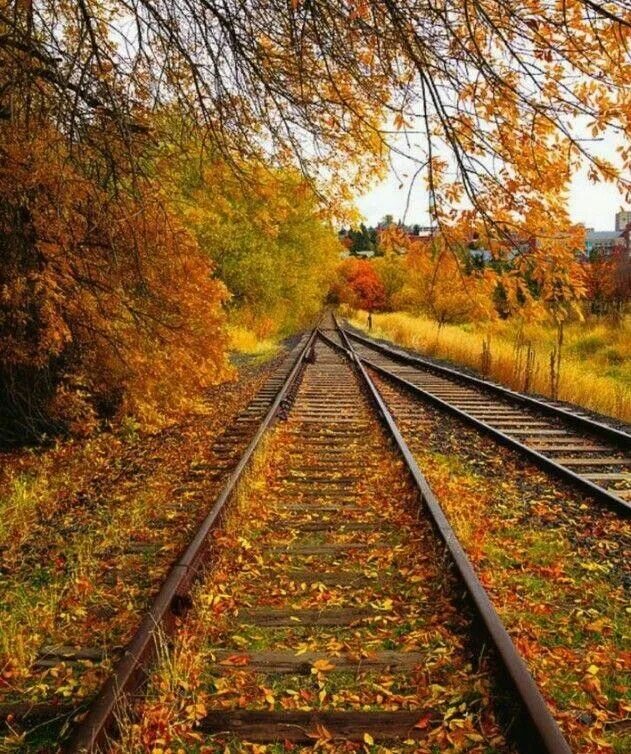 Поезд в осеннем лесу фото Pin by Yohan Cel on Otoño Autumn landscape, Autumn scenery, Train tracks photogr