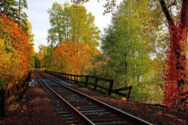 Pin on ROAD.ДОРОГА. Country roads, Railroad tracks, Train