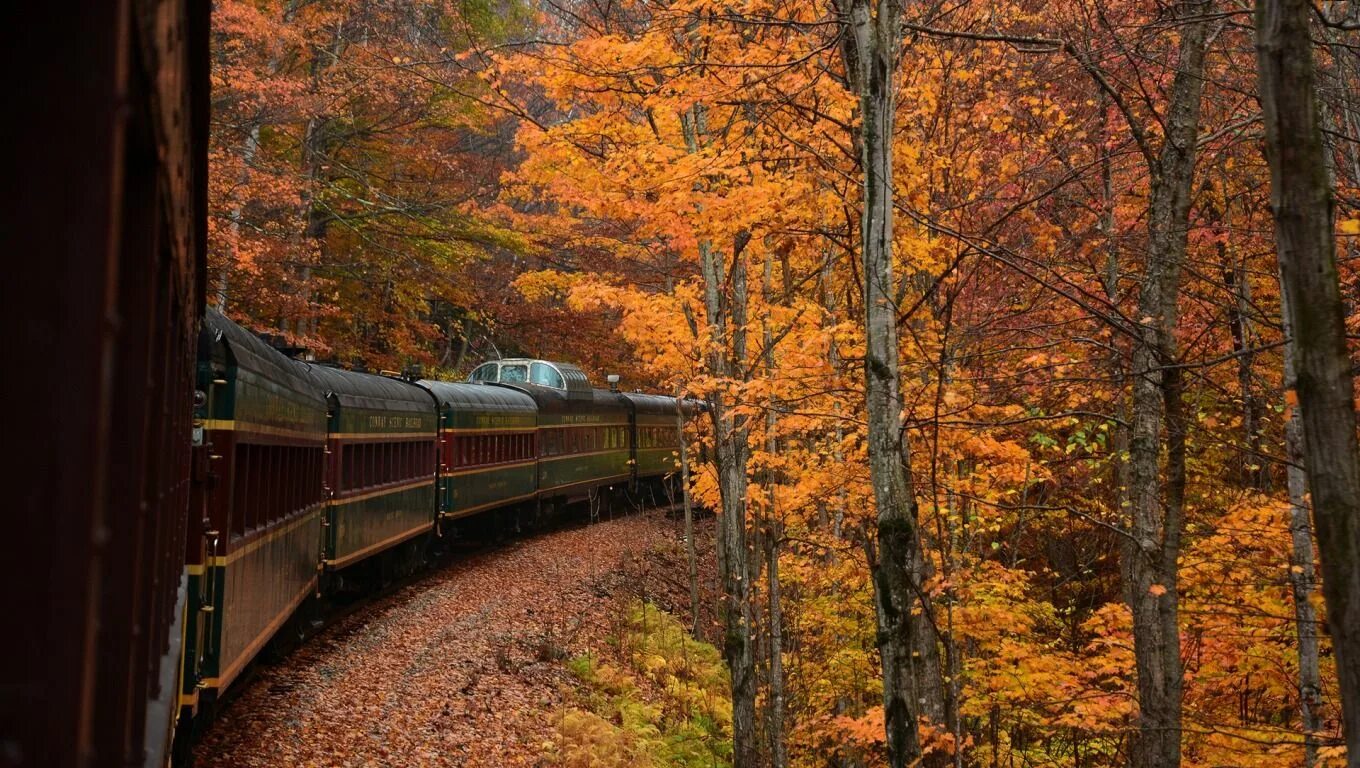 Поезд в осеннем лесу фото Pin on ROAD.ДОРОГА. Country roads, Railroad tracks, Train