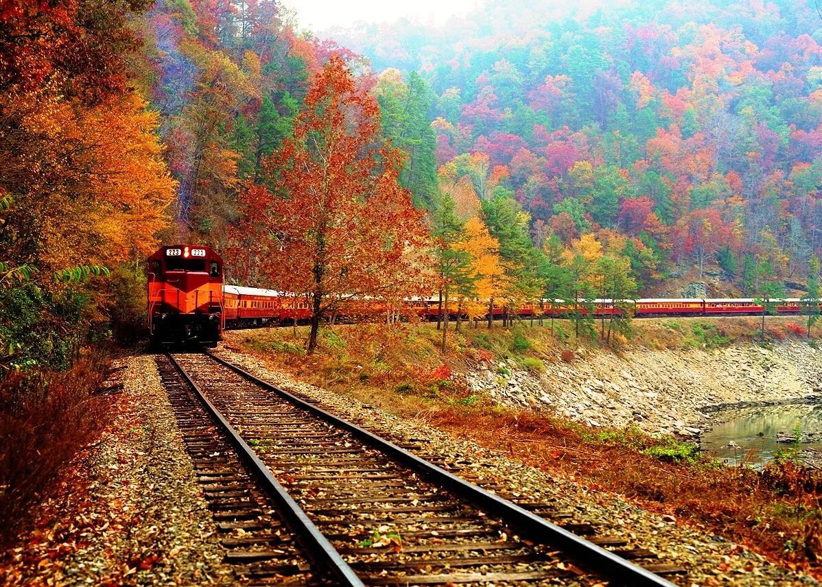 Поезд в осеннем лесу фото Great Smoky Mountains Railroad Scenic Train RomanticAsheville.com Scenic train r