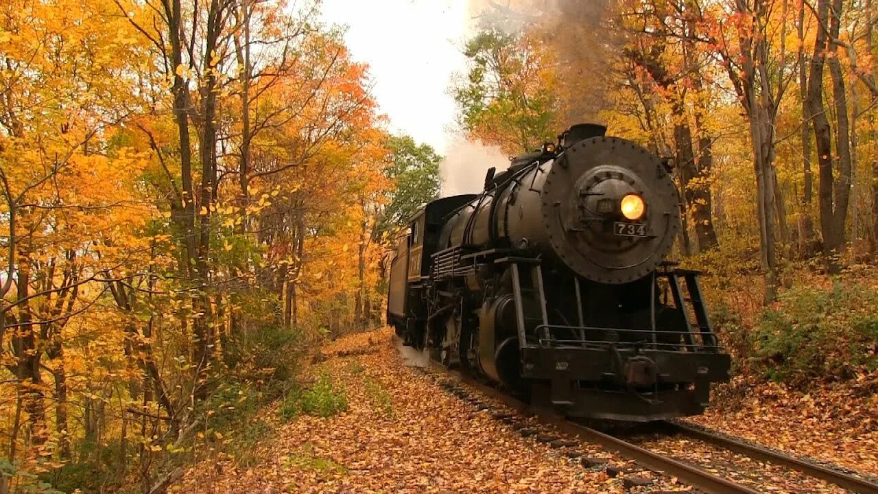 Поезд в осеннем лесу фото Western Maryland Scenic Railroad 734 Nearing The End - YouTube