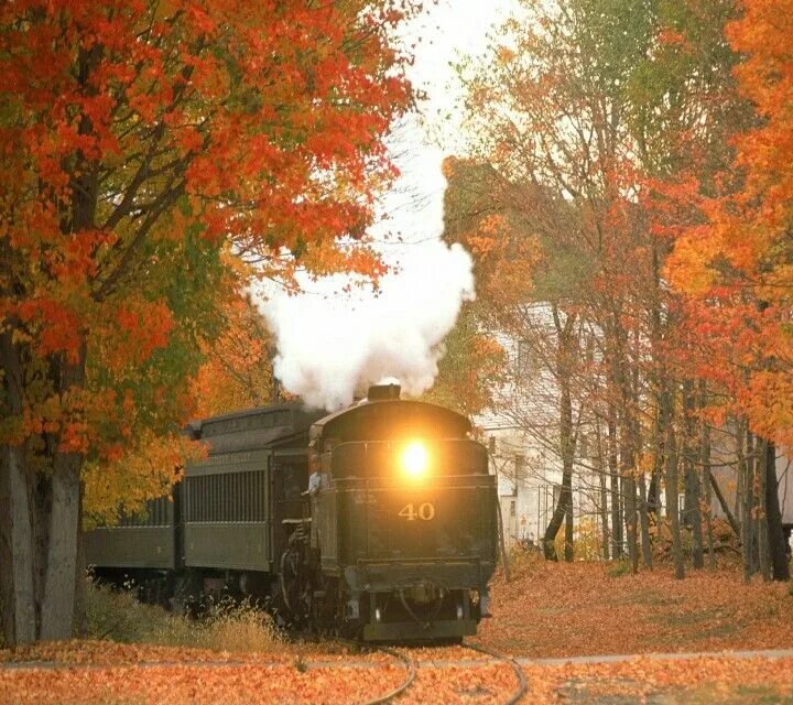 Поезд в осеннем лесу фото Autumn trips Train, Train wallpaper, Holidays in england