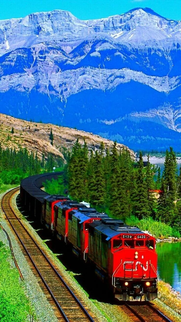 Поезд вертикальное фото Pin by Fari on Nature ❤ in 2019 Train travel, Train, Train tracks