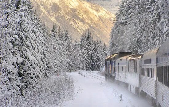 Поезд зима фото Let the Canadian train whisk you to the tranquility of the Canadian Rocky Mounta