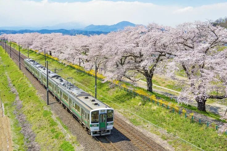 Поезда японии фото The Japan Rail Pass: Is It Worth The Cost? (Updated 2024) Japan travel, Explore 