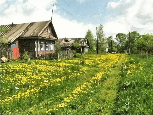 Поездка в деревню :: Евгений Даренский - Социальная сеть ФотоКто