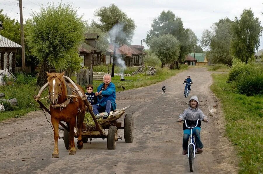 Поездка в деревню фото Нарисуем будем жить Семейный канал Дзен