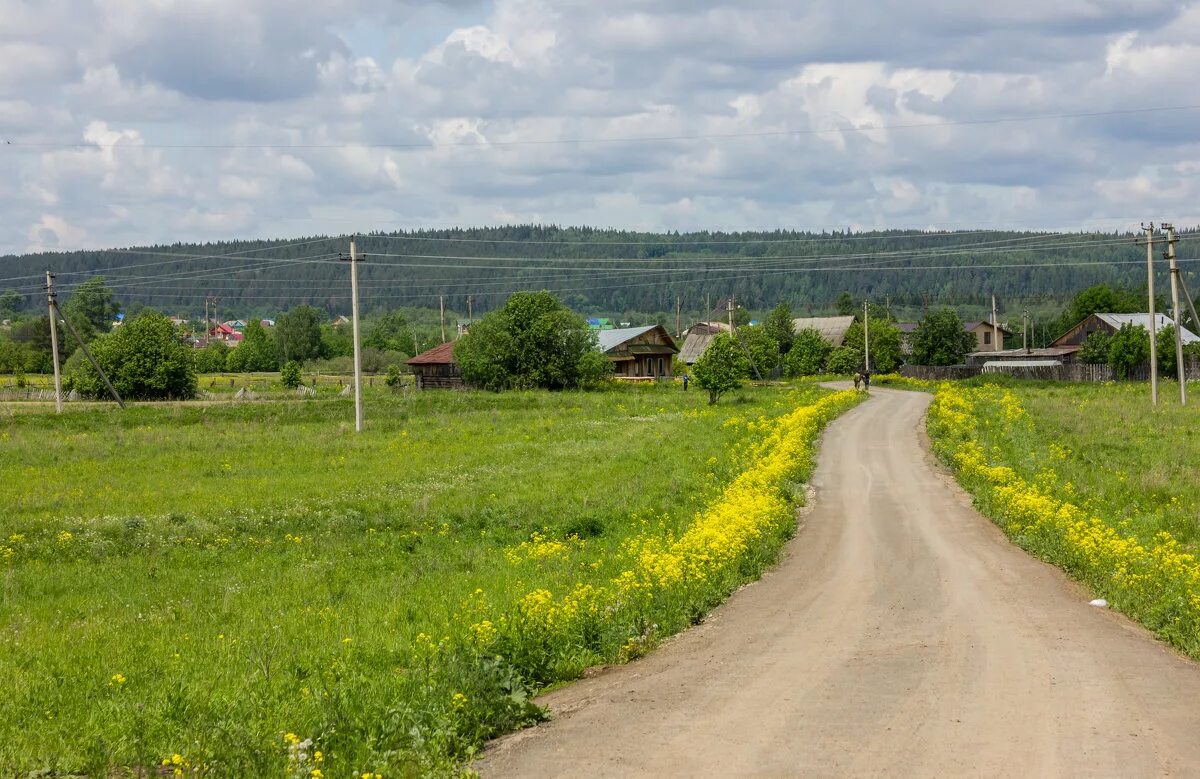 Поездка в деревню фото Поездка в деревню :: Евгений Даренский - Социальная сеть ФотоКто