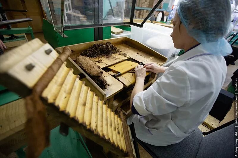 Погарская сигаретно сигарная фабрика фото Как делают сигары в России (60 фото + 1 видео)