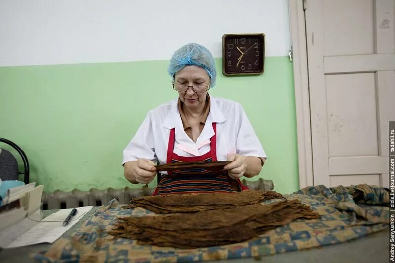 Погарская сигаретно сигарная фабрика фото Как делают сигары в России (60 фото + 1 видео)