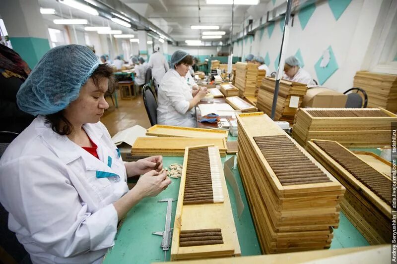 Погарская сигаретно сигарная фабрика фото Как делают сигары в России (60 фото + 1 видео)