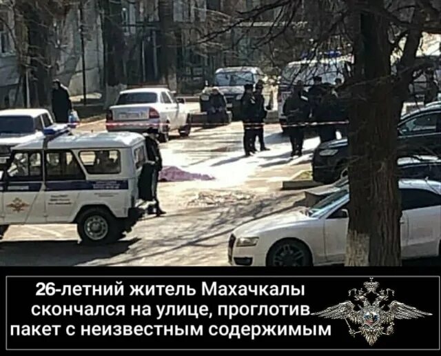 Погибшие в махачкале фото 26-летний житель Махачкалы умер на улице: Яндекс.Новости