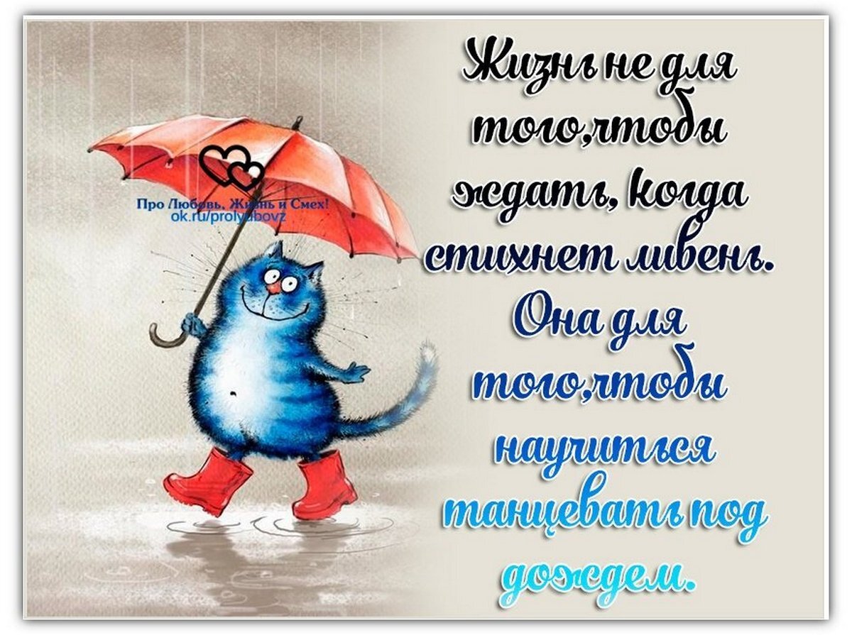 Погода доброе утро картинки прикольные У природы нет плохой погоды": забавные открытки для тех, кто сидит под дождем МК