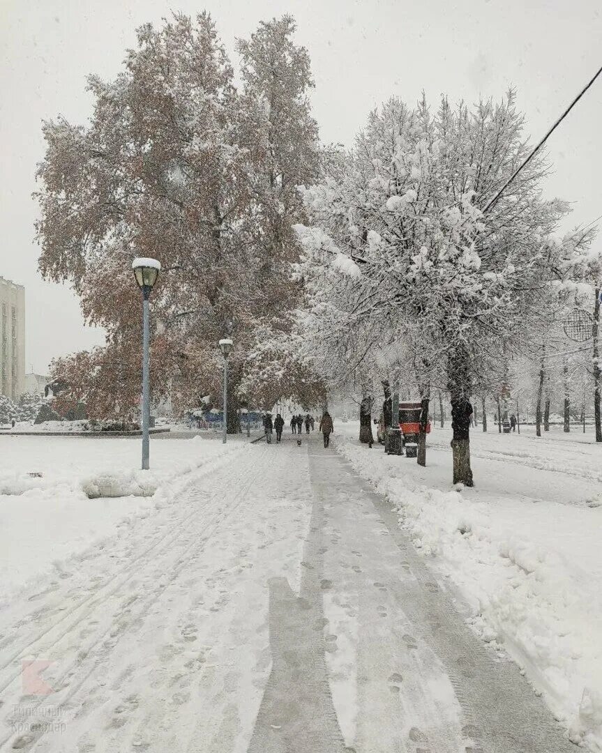 Погода краснодар фото Контрасты и сюрпризы погоды в Краснодаре METEOWEB.RU Дзен