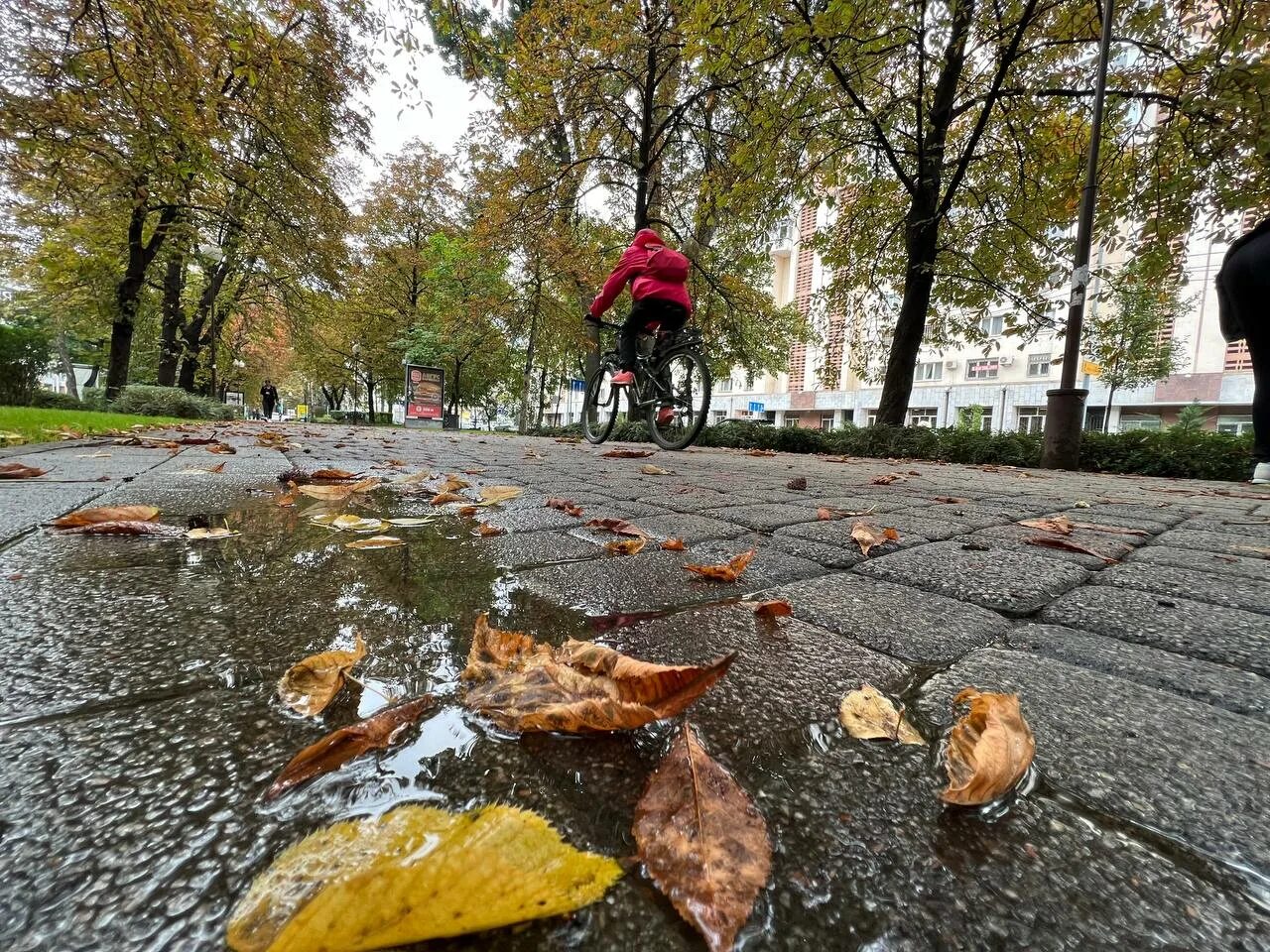 Погода краснодар фото В Краснодаре до конца рабочей недели прогнозируют дожди. 12.12.2022 г. Телеканал