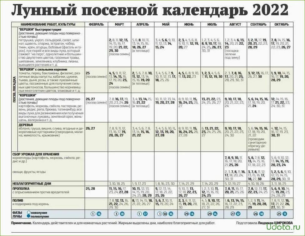 Погода лунный календарь Пикировка по лунному календарю апрель 2024