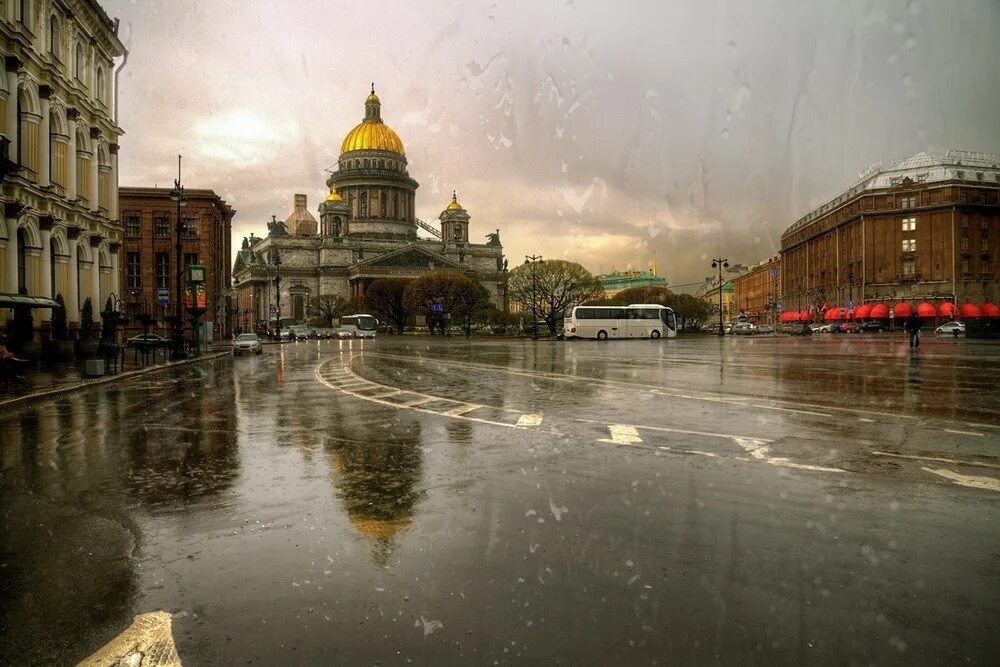 Погода питер фото 19 мая в Санкт-Петербурге ожидаются кратковременные дожди, местами ливни, грозы 