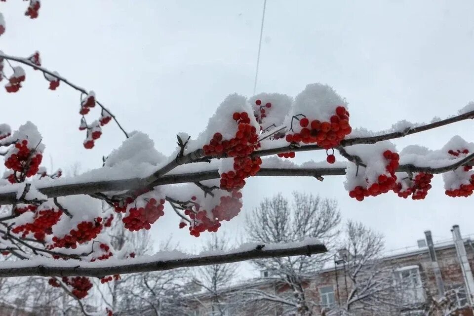 Погода в ижевске сегодня фото Погода в Ижевске на 24 января: до - 10 ° С и небольшой снег - KP.RU