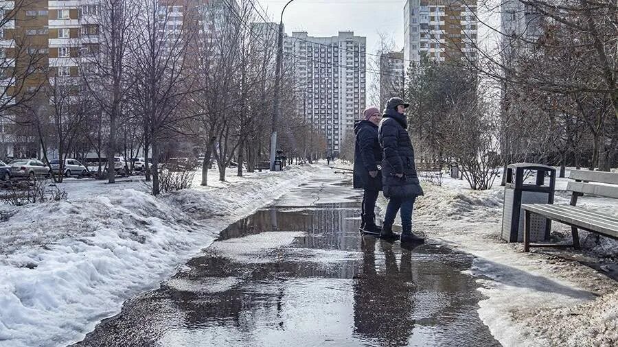 Погода в москве сегодня фото сейчас Вильфанд рассказал о потеплении в Москве на следующей неделе Новости общества Из