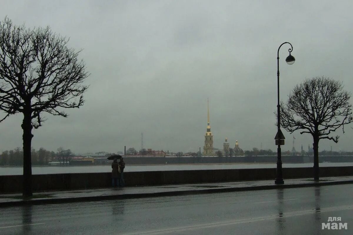 Погода в ноябре в питере фото Дефицит солнечного света в Питере. Сообщество "Питер" Для мам