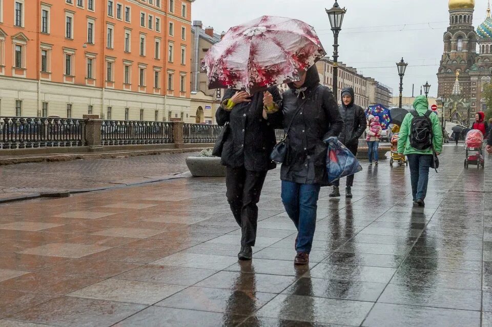 Погода в ноябре в питере фото Циклон "Стефан" вернет тепло и дожди в Петербург 10 ноября - KP.RU