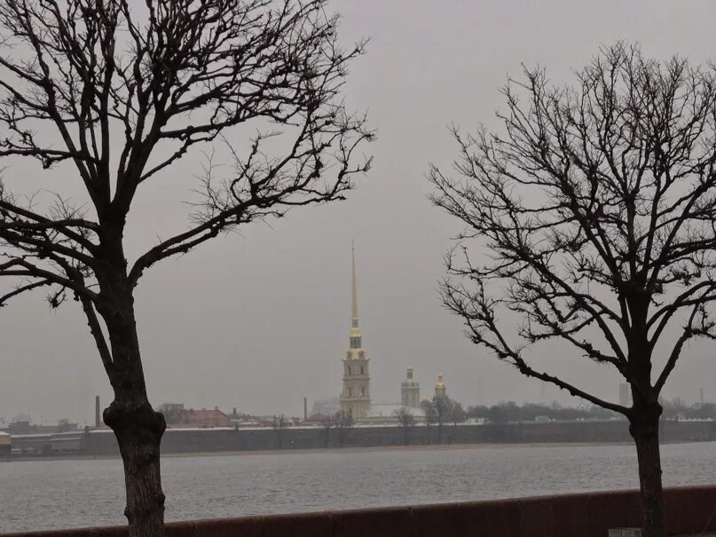 Погода в ноябре в питере фото Миф о дождливом Петербурге В сознании наших граждан утвердилась легенда, что Пет