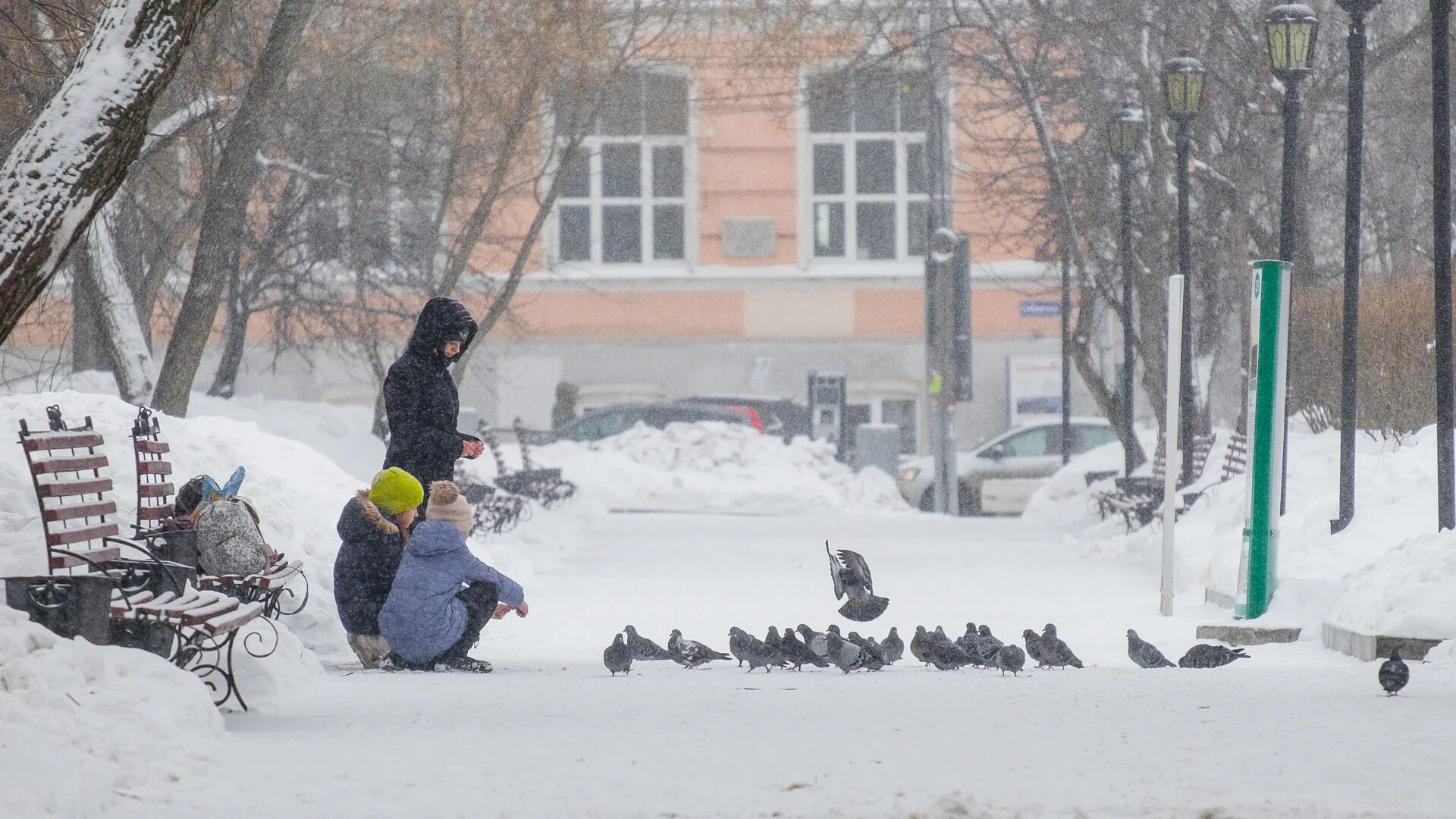 Погода в перми сегодня фото Гис-Центр: последние новости на сегодня, самые свежие сведения 59.ру - новости П