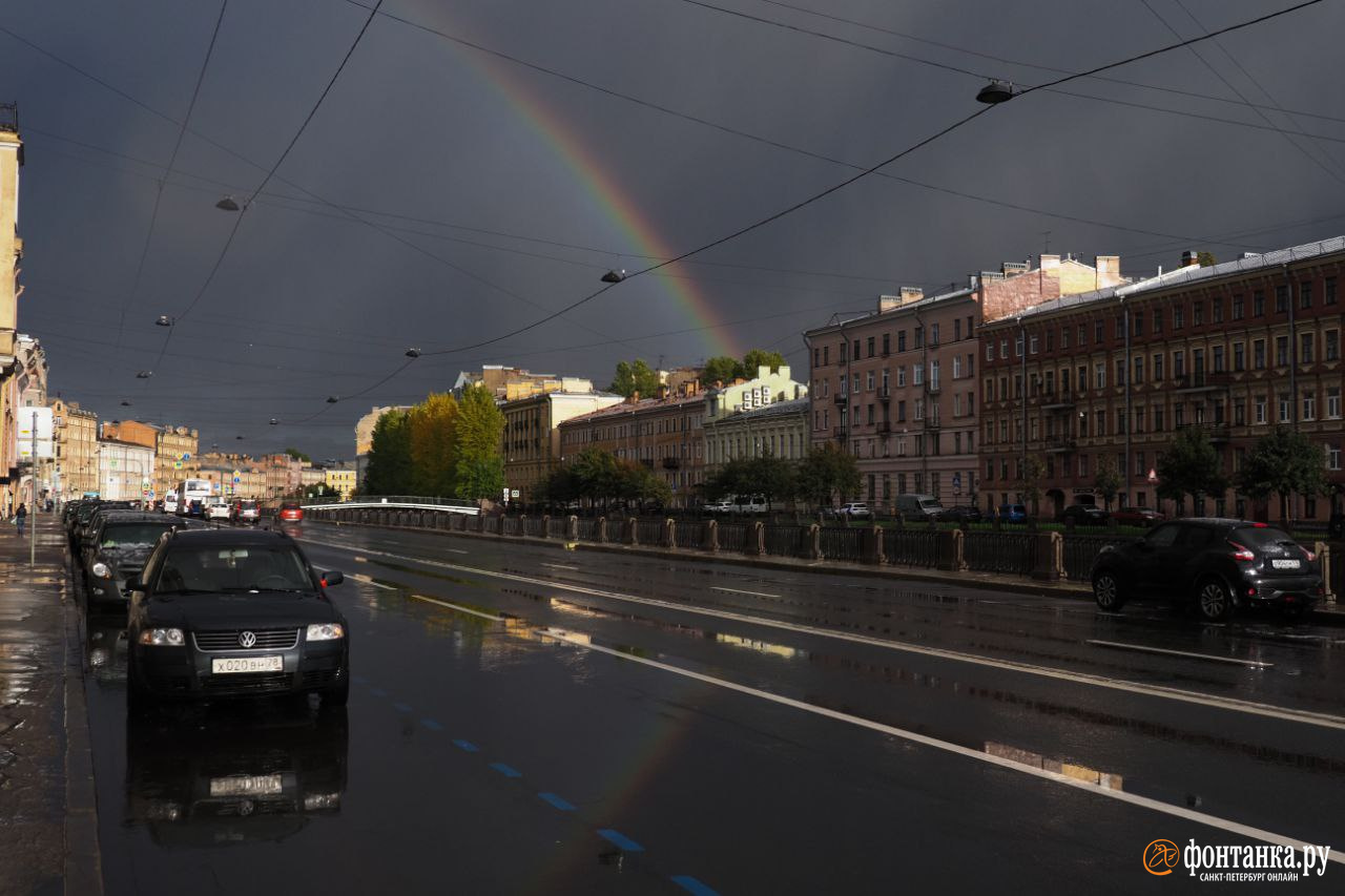 Погода в питере сегодня фото Какой петербуржцы запомнят погоду 16 октября - 16 октября 2023 - ФОНТАНКА.ру