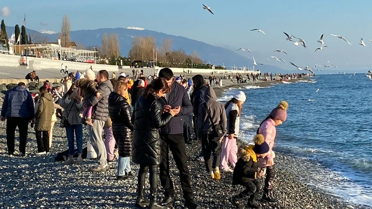 Погода в сочи фото 01.01.2023. Погода в Сочи в январе.Смотри на Чёрное море каждый день. - YouTube