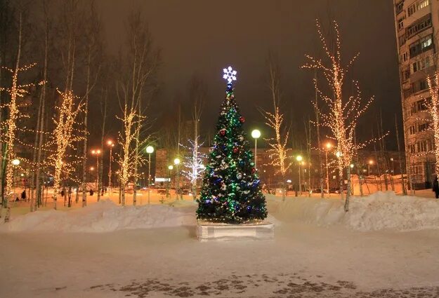 Погода в тюмени фото Погода в Тюмени на 26 декабря: тепло и снежно 26.12.2019 Тюмень - БезФормата