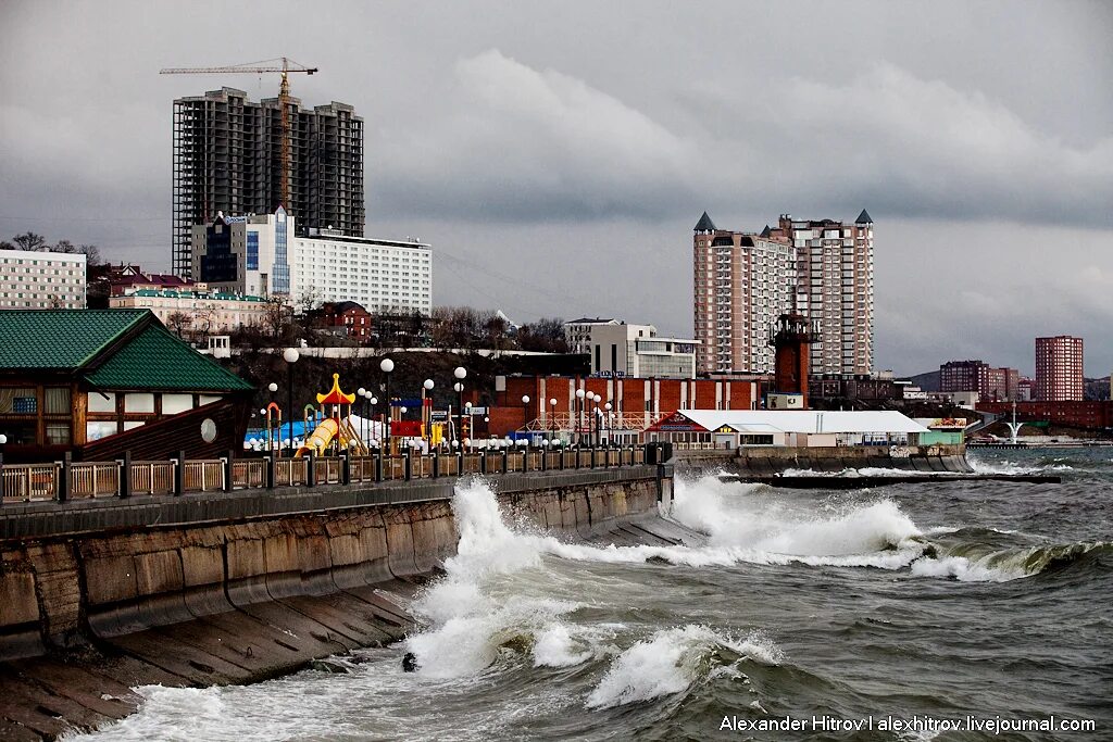 Погода владивосток фото Владивосток погода отзывы