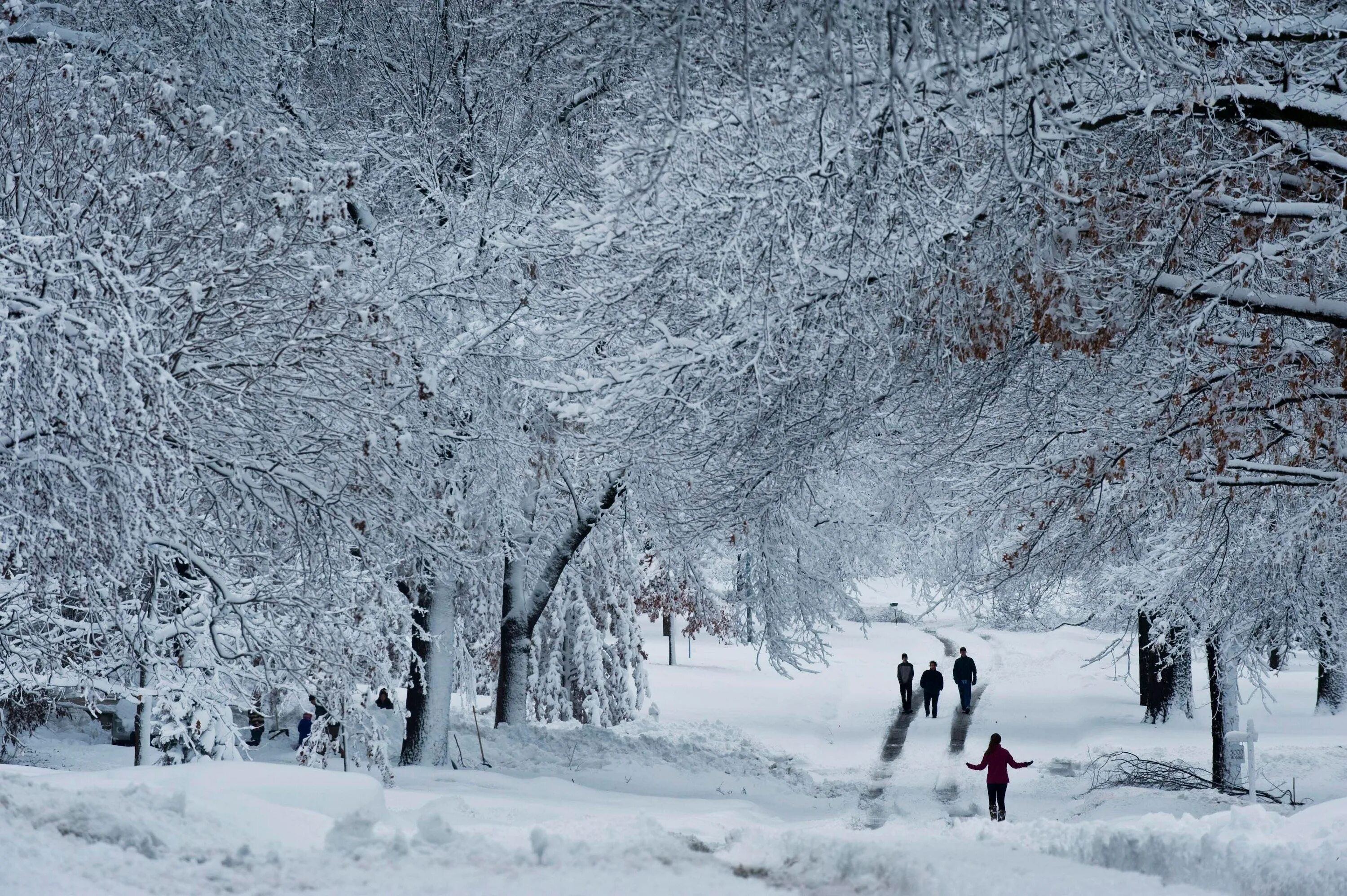 Погода зима фото Ferocious' Blizzard Expected For The Great Plains And Midwest