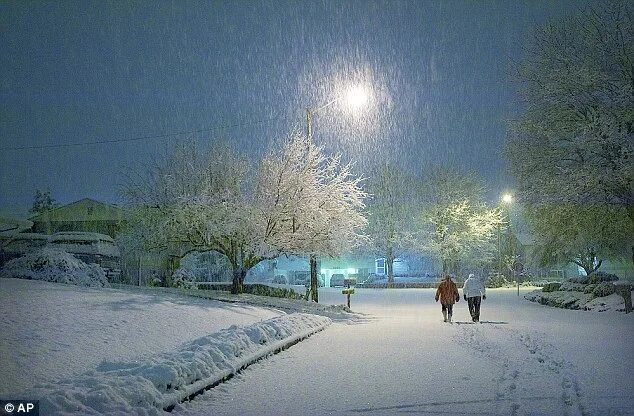 Погода зима фото Winter storm: Pacific Northwest gets 16 inches of snow as 10 tornadoes hit centr