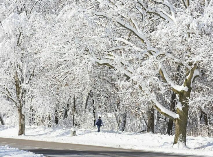 Погода зима фото wisconsin winter photos ... Wisconsin on the campus the University of Wisconsin-