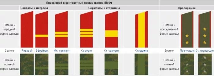 Погоны и звания в армии россии фото Погоны и звания в армии России