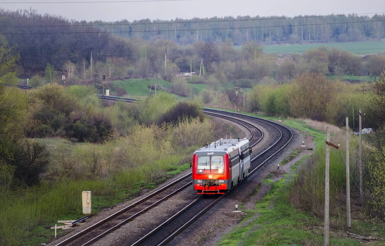 Погорелов сергей станция селезни тамбовская область фото РА1-0080 - Фото - RailGallery