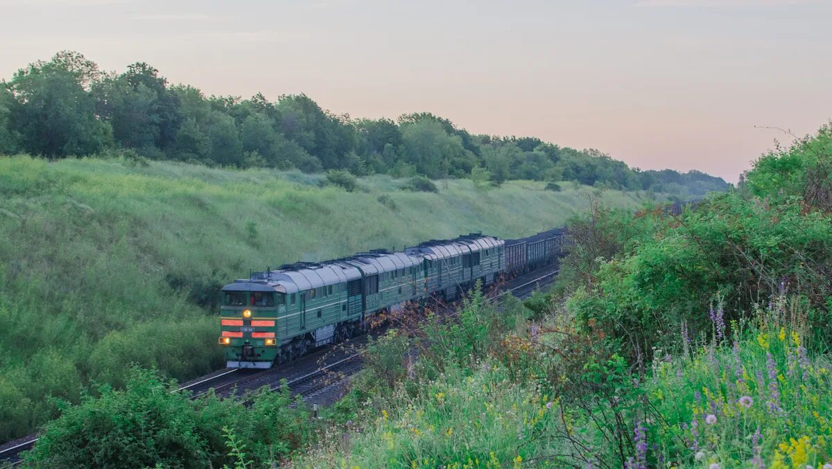 Погорелов сергей станция селезни тамбовская область фото 2ТЭ116-1599 - Photo - RailGallery