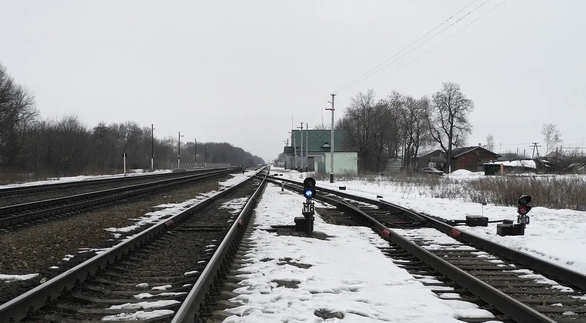 Погорелов сергей станция селезни тамбовская область фото Файл:Селезни (станция), Тамбовская область, 2.jpg - Энциклопедия нашего транспор