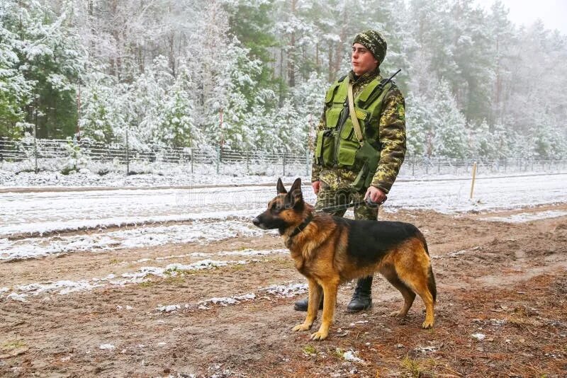 Пограничная овчарка фото Odessa, Ukraine - December 16, 2015: Border Dog with a Soldier Editorial Stock P